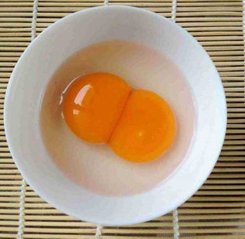 上海有代孕婴儿群吗 上海哪里可以冻卵? ‘双顶径95.2mm是儿子还是女儿’
