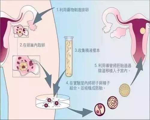 上海个人同居代孕女人_上海哪里有代怀孕_二胎时