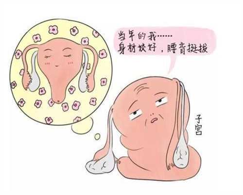 北京高鹰_北京供卵平台_福代怀孕丨怀孕可以吃泡