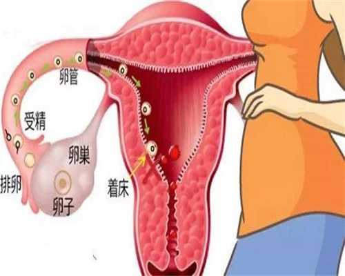 上海代孕辅助生殖中心客服电话:羊水穿刺疼后注意事项