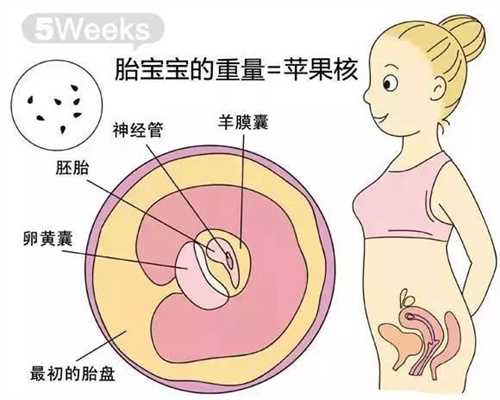 上海代孕中心安全吗_上海专业代孕机构排行榜