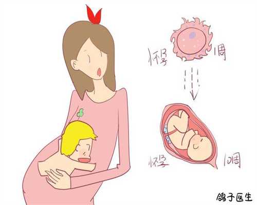 上海捐卵群_上海金贝试管供卵价格_代孕去哪家最好_代孕公司排名
