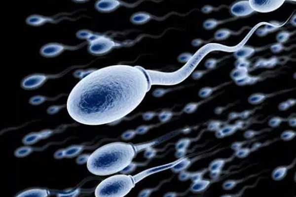 定西供卵试管打几天HCG_定西供卵试管婴儿选男女_精子品质、卵子质量共同影响