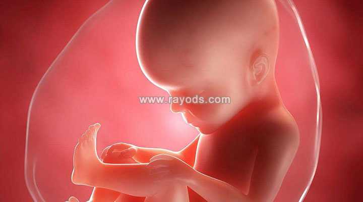 沧州借卵生子机构_二代试管针对精子畸形是怎么挑选优质精子的？