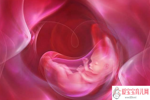 果洛供卵生的孩子像自己么_试管婴儿移植后双胞胎要怎么保胎