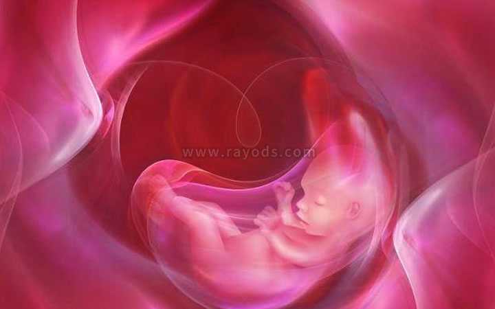 随州供卵多久可以移植_平谷试管婴儿移植后几天可以验孕?验孕成功怎么保胎