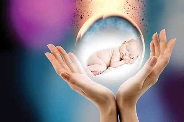 梧州哪里可以借卵试管_2021年在国内做试管婴儿的花费明细表-记得收藏保存