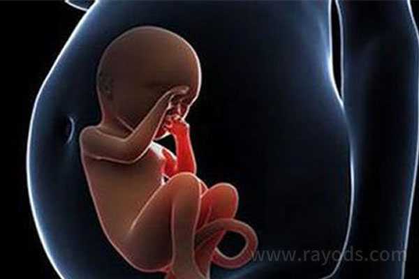 合肥借卵子生子哪里好_试管婴儿容易早产吗？试管婴儿早产的3个原因
