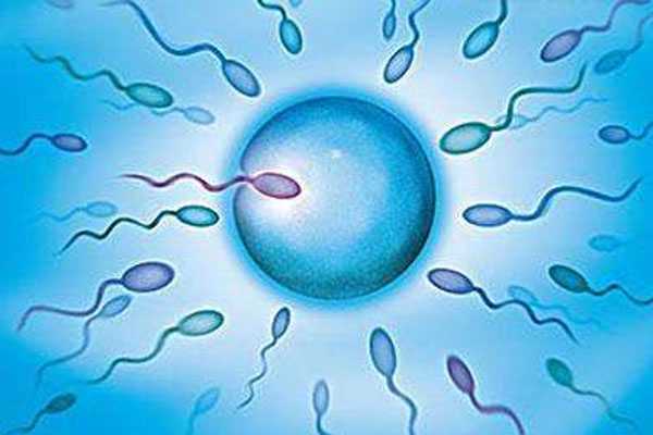供卵机构联系方式_供卵试管生子中心_做试管婴儿对精子的要求？