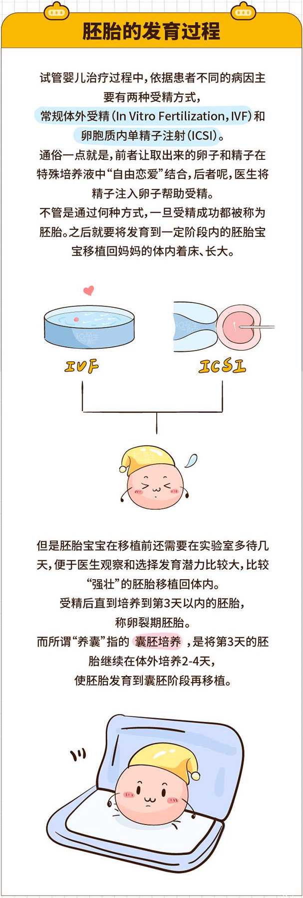 泰安代孕包生孩子_试管婴儿胚胎发育过程是怎样的