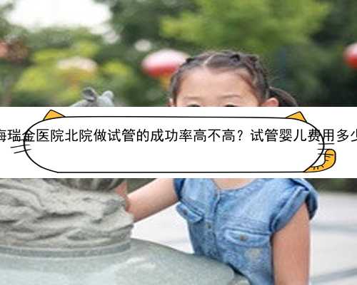 上海瑞金医院北院做试管的成功率高不高？试管婴儿费用多少？
