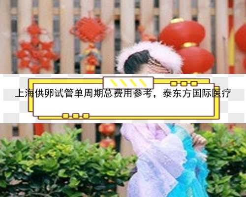 上海供卵试管单周期总费用参考，泰东方国际医疗