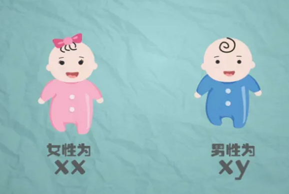北京医院妇产助孕 2023
北京大学第三医院做一次三代试管大概多少钱？ ‘孕囊