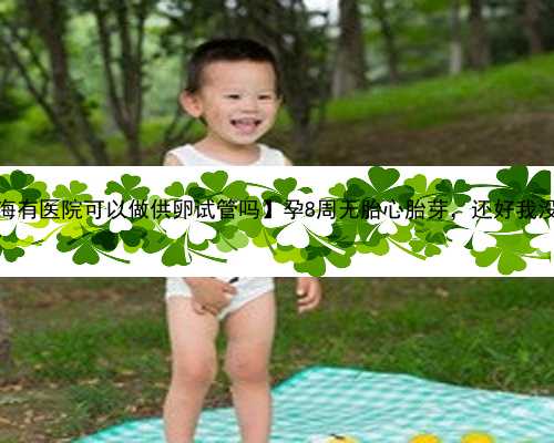 【上海有医院可以做供卵试管吗】孕8周无胎心胎芽，还好我没放弃