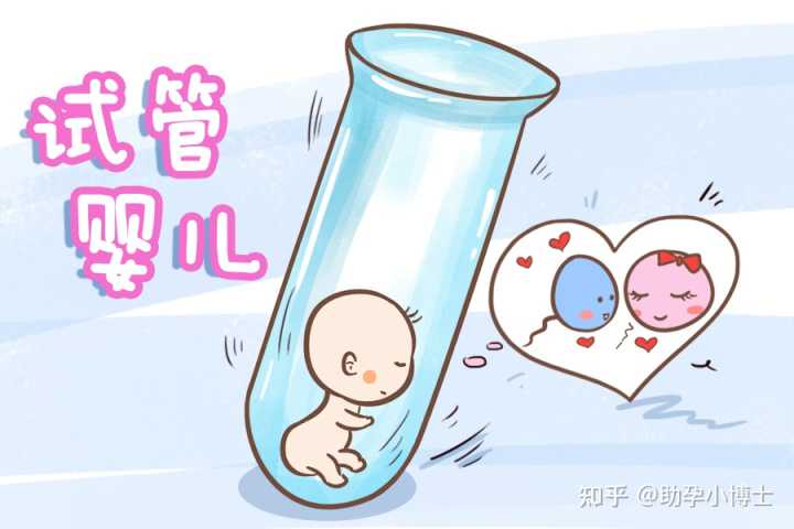 武汉协和医院可以做供卵试管婴儿吗?,2023武汉供卵试管医院-外国人驾照翻译成
